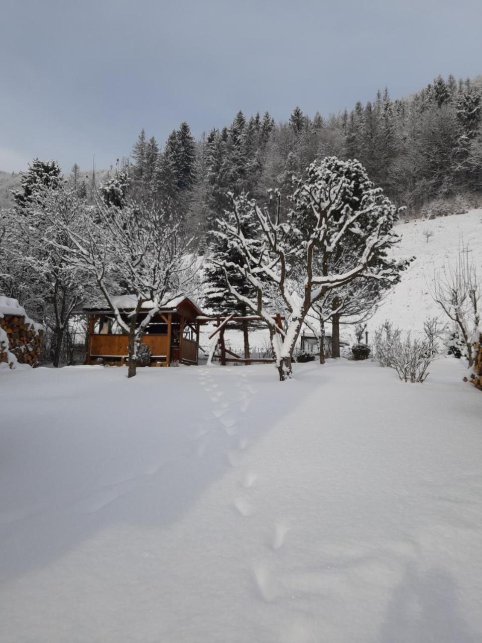 Rekreacny Domcek Judka Villa Dedinky Buitenkant foto